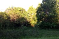Undeveloped Land in Limestone County, Texas