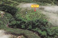 Farm and Ranch in Hawaii County, Hawaii