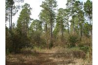 Land in Colquitt County, Georgia