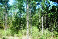 Homesite in San Augustine County, Texas