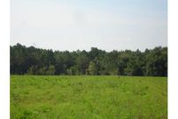 Farm and Ranch in Colquitt County, Georgia