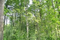 Land in Baraga County, Michigan