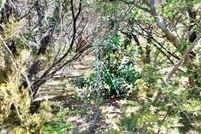 Undeveloped Land in Bosque County, Texas