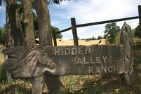 Timberland Property in Polk County, Oregon