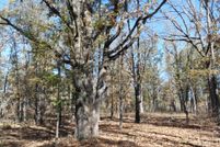 Timberland Property in Sharp County, Arkansas