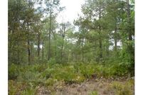 Land in Ware County, Georgia