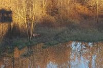 Land in Montgomery County, Kansas