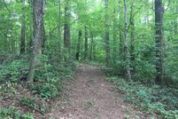 Undeveloped Land in Pickens County, Georgia