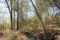 Land in Rains County, Texas