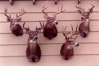 Riverfront Property in Knox County, Texas