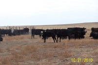 Land in Lincoln County, Colorado