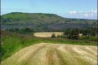 Land in Kenai Peninsula Borough, Alaska