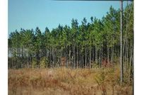 Land in Wilcox County, Georgia