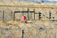 House in Custer County, Nebraska