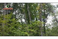 Land in Independence County, Arkansas