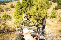 Land in Bannock County, Idaho