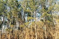 Land in Thomas County, Georgia