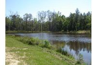 Farm and Ranch in Dodge County, Georgia