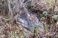 Undeveloped Land in Cherokee County, North Carolina