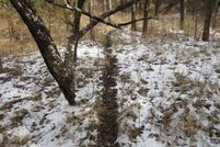 Farm and Ranch in Allen County, Kansas