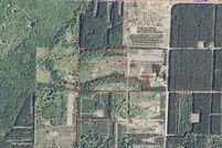 Homesite in Manistee County, Michigan