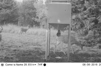 Land in Wilson County, Kansas