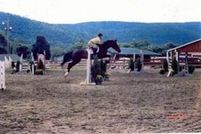 Land in New Haven County, Connecticut