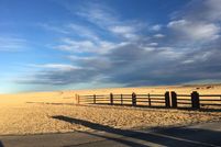 Undeveloped Land in Albany County, Wyoming