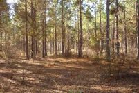 Land in Ben Hill County, Georgia