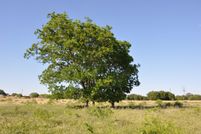 Land in Brown County, Texas