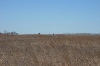 Farm and Ranch in Hunt County, Texas