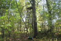 Farm and Ranch in Isanti County, Minnesota