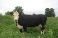 Land in Pine County, Minnesota