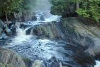 Farm and Ranch in Piscataquis County, Maine