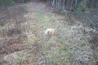 Land in Somerset County, Maine