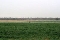 Farm and Ranch in Atascosa County, Texas
