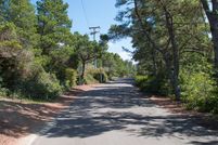 Undeveloped Land in Lane County, Oregon