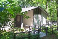 Timberland Property in Wood County, Texas