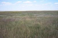 Land in Sherman County, Kansas