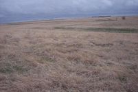 Land in Rawlins County, Kansas