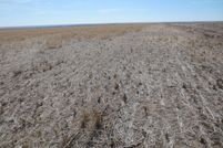 Land in Rawlins County, Kansas