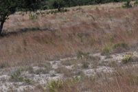 Land in Comal County, Texas
