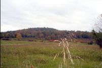 Land in Montgomery County, Arkansas