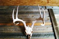 Land in Hall County, Texas