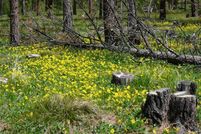 Land in Missoula County, Montana