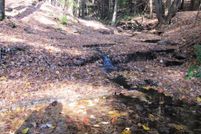 Timberland Property in Otsego County, New York