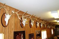 Recreational Property in Wilbarger County, Texas