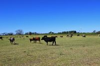 Farm and Ranch in Wilbarger County, Texas
