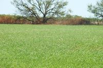 Farm and Ranch in Foard County, Texas