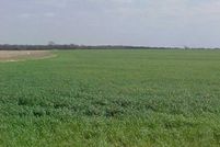 Farm and Ranch in Ellis County, Texas